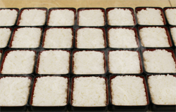 盛り付け数カウンター!のイメージ